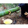 原生态竹筒酒厂家_供应福建销量好的原生态竹筒酒