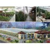 生态餐厅建设 潍坊合格的生态餐厅建造公司，当属亿成温室工程