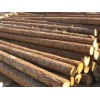 鹤壁地区优质的浚县木材加工   ：浚县木材加工价格超低