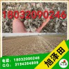 安徽鸡粪怎么卖|价格多钱一吨|厂家在哪里呀【旭泽田18032090246】