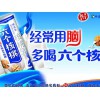 濮阳价格超值的养元六个核桃哪里买——濮阳养元六个核桃