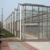 质量好的温室大棚推荐，养殖温室大棚建设