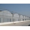 银川阳光板生产厂家：划算的阳光板兰州高锋建材供应