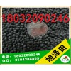 哪里能买到质量好的蜜柚专用肥【鸡粪18032090246】鸡粪怎么买的多钱一吨
