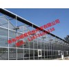 玻璃温室建设——连栋玻璃温室大棚造价