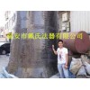 典雅的生产铸造铜钟，买铜钟当然是到戴氏法器厂