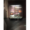 区域批发特质异形柜|展览馆展柜