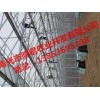 【荐】受欢迎的大棚建设|普通大棚