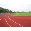 超强地坪装饰塑胶跑道您的不二选择|鲤城塑胶跑道