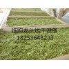 品牌好的蔬菜烘干设备在哪买     ：镀锌件烘干机