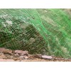 衡水地区专业生产质量硬的包塑主动防护网——出口包塑主动防护网