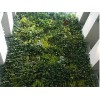 高级可定制高档仿真新款植物墙酒店商业空间垂直绿植植物墙