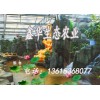 农业生态观光园--现代温室工程--菜博会景观设计--寿光