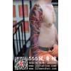石龙纹身|服务一流的长安纹身在哪里