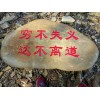 园林景观石供应商哪家比较好，嘉峪关立体雕塑哪家好