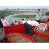 黄河甲鱼价格|厂家推荐黄河种鳖市场价格