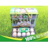 高品质土鸡蛋原始蛋供应|鸡蛋批发商