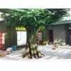 抛售玻璃钢假树_[金鼎园林雕塑公司]假树设计新颖