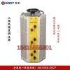 深圳三相调压器