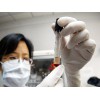 DNA亲子鉴定的原理是什么