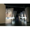文博创造供应合格的特质异形展柜|展览馆展柜