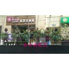 花艺培训哪家好——山西花艺培训在哪里