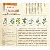 国珍松花粉专卖《国珍香苏回青粉+国珍香兰阁润白修护面膜》