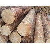 木方厂家 实惠的铁杉，厂家火热供应