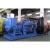 实惠的柴油发电机组由潍坊地区提供    _山东发电机组