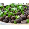 [供应]南宁热销南宁陶粒_上林陶粒