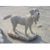 动物石雕厂家 泉州地区销售新品猫狗石雕