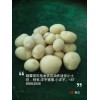 安阳神农架小土豆，山东新品油炸小土豆供应