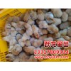 广西禽苗孵化厂，大量供应销量好的广西鸡苗