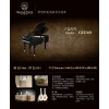新kayserburg piano恺撒堡kA艺术家钢琴