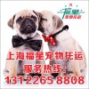上海宠物托运\狗猫免运输公司 上海市宠物托运专业服务商