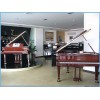 实惠的东莞欧米勒钢琴在哪里可以买到，石龙欧米勒钢琴价格