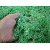 甘肃隆创塑料，具有品牌的打包带回收服务商：嘉峪关打包带回收哪家好