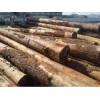 龙岩建筑材料——选购方木优选亚誉双木业