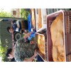 信阳报价合理的甲鱼·厂家直销：销售甲鱼苗