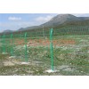围网批发|供应仁信口碑好的养殖围栏网