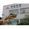 自贡专业的仿真恐龙坐骑生产厂家