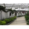 生态温室价格范围，阳泉生态温室工程