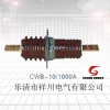 优质的母线穿墙套管CWB-12/1000出售