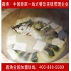 草帽蒸汽石锅鱼加盟_郑州鑫汇德酒店管理公司提供放心的云南石锅鱼加盟