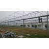 专业建设高温棚 口碑好的温室大棚哪里有
