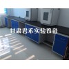 甘肃实验室柜销售|优质的实验室台柜君禾科学仪器有限公司供应