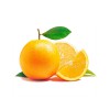 杭州放心的奥橙 供应   优惠的优质正品奥橙