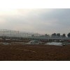 连栋温室市场行情 想买优惠的连栋温室，就到风山温室园艺