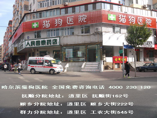 有信誉度的宠物24小时急救中心倾情推荐_哈尔滨宠物24小时急救中心公司