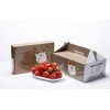 长春优惠的丹东红颜草莓出售：草莓罐头草莓冷链运输